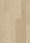 AVSPT40322  Дуб береговой песчаный