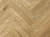 LF303-09 Дуб Хайнан