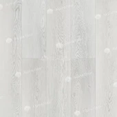 ECO 11-1203 Дейнтри