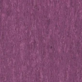 OPTIMA PURPLE 0255