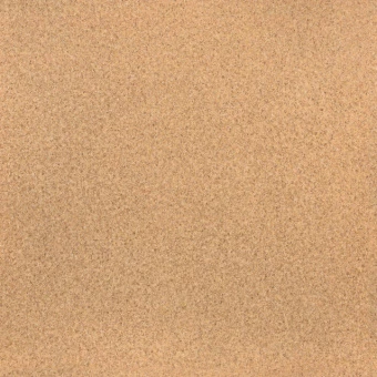 VENUS 3
