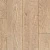 CXC162-2 Дуб Карамель