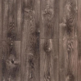 Amalfi Yew  (Тис Амальфи) LM-09