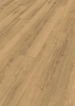 D40792 Дуб Тахо