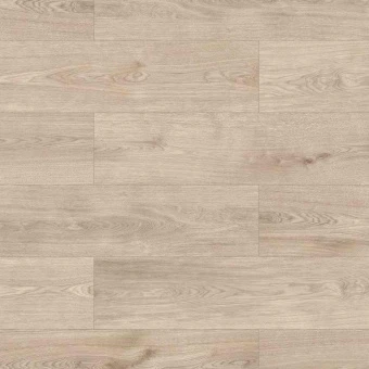 56697 Дуб Бредфорд / Bradford Oak
