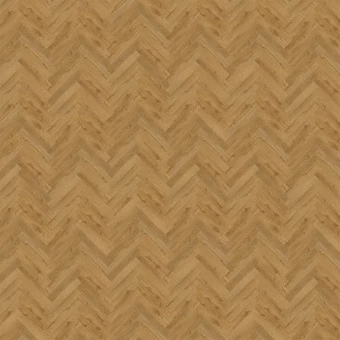 SGHBC20333 Дуб осенний медовый