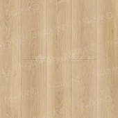 1008-6 ABA Eli