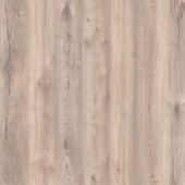 D40447 Дуб Мальва