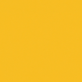 OMNISPORTS ACTION 65 YELLOW