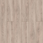 59877 Дуб Ченнаи