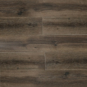 16161 Дуб Шеффилд