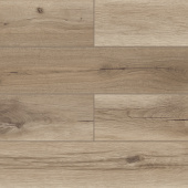 50787 Дуб Олссон