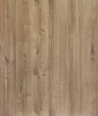  D50717 Дуб Джордан