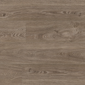 8105 Дуб Хэмонд