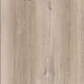 SF02 Дуб Миланский