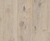 FP559 Дуб Магелан