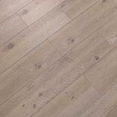 V105 Дуб Новара