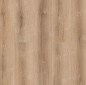 Verano 1002-17 Bellone