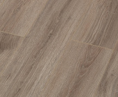 SF32 Дуб Джонсон