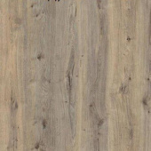 SF05 Дуб Античный