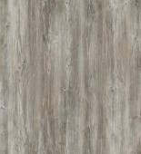 Дуб Турия AV2775