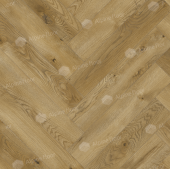 63262 Дуб Каррито