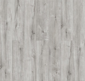 Е305 Дуб Берсель