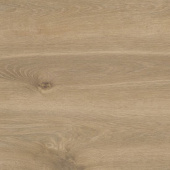 U608 Дуб Абсолют классический