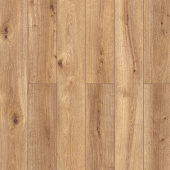 59897 Дуб Кавери