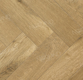 LF304-09 Дуб Хайнан