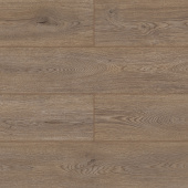 50757 Дуб Герберт