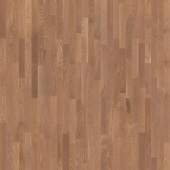 Дуб Висбю 3-полосный