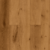 LF305-13 Дуб Помона