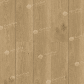 ECO 24-4 Дуб Аврора