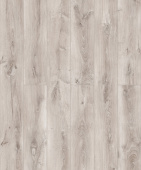 D50407 Дуб Хелльбрунн