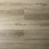 16165 Дуб Сомерсет