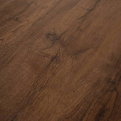 4209 Дуб Амбарный