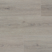 NC81 Дуб Вальфорд