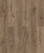 D7081 WG Дуб Демонт