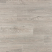 IMU 8471  Дуб Северное сияние