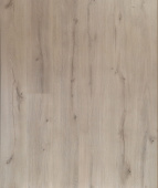 1811  Дуб Каньон