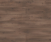 D50897 Дуб Ромберг