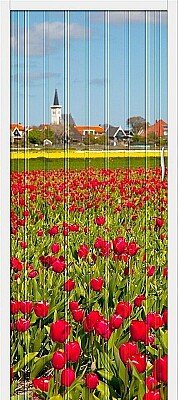 Браво-008 (цвет Т - 2)