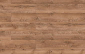 54783 Дуб Ливингстон