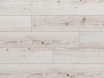 57314 Честерская ель