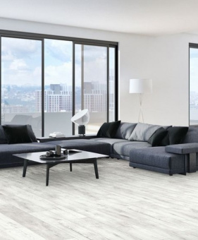 K278 Дуб Волшебный