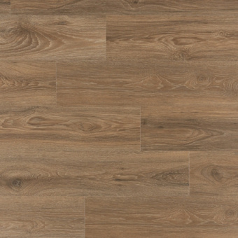 IM8466 Дуб Скалистый