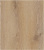 PRK501 Дуб Тренд 