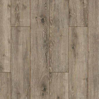 ID71 Дуб Дега