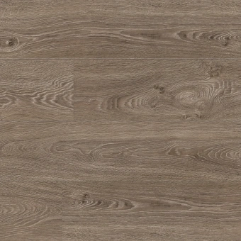 8105 Дуб Хэмонд